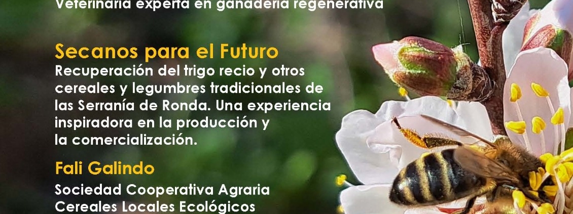Programa Ronda 16.5.25