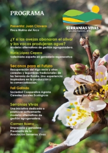 Programa Ronda 16.5.25