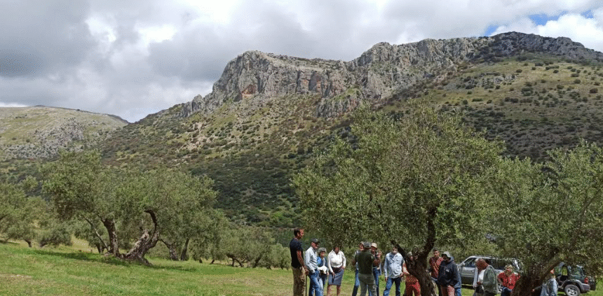 Visita Finca Conde del Valle