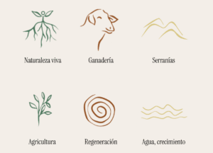 Colores e imagenes